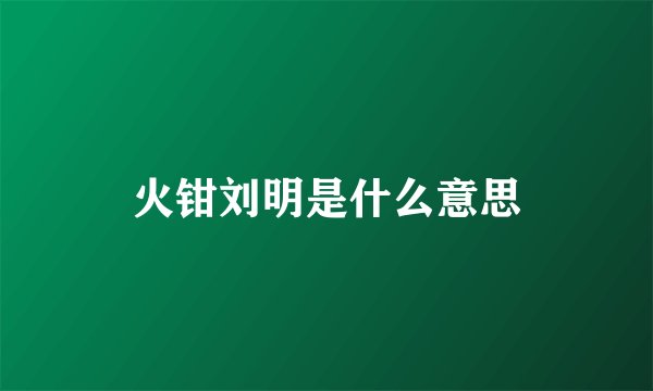 火钳刘明是什么意思