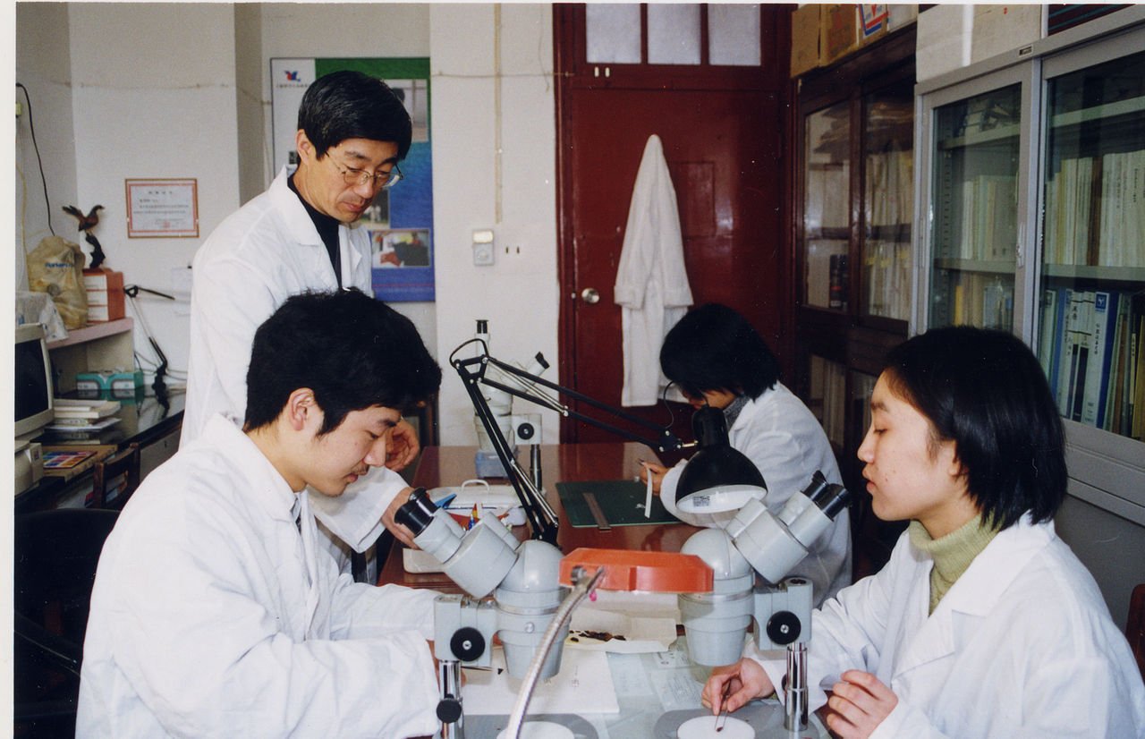 李利珍的相关报道