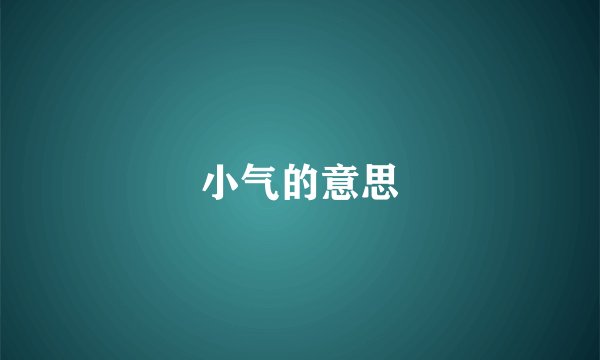 小气的意思