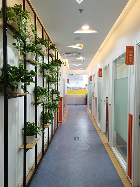 合肥家教上门一对一辅导哪家好