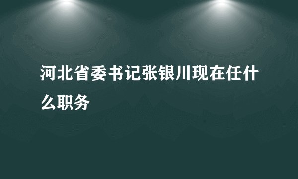 河北省委书记张银川现在任什么职务