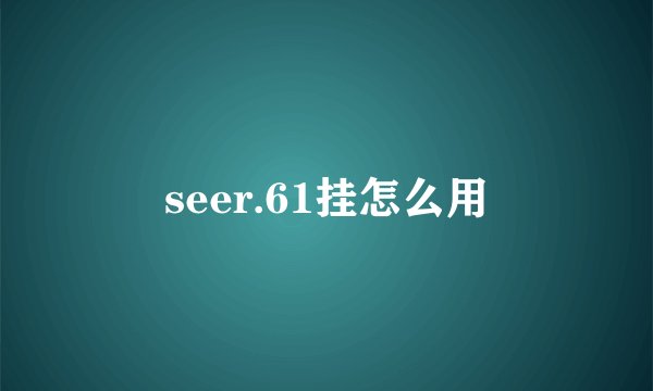 seer.61挂怎么用