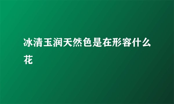 冰清玉润天然色是在形容什么花