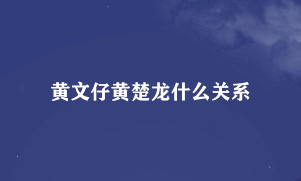 黄文仔黄楚龙什么关系