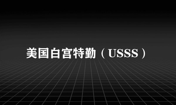 美国白宫特勤（USSS）
