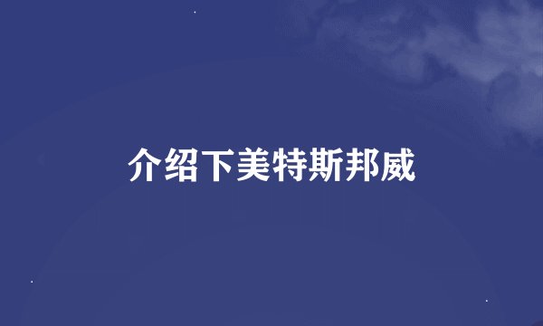 介绍下美特斯邦威