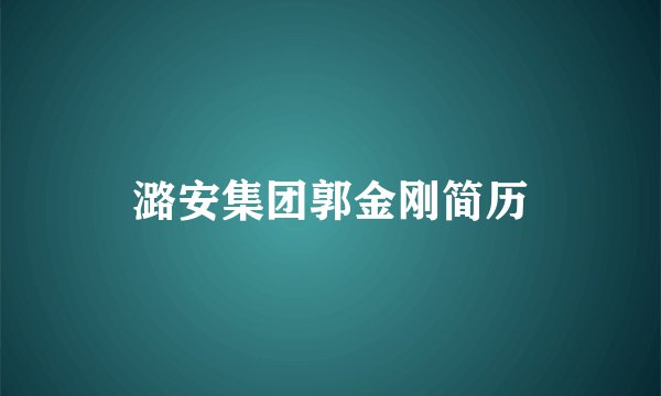 潞安集团郭金刚简历