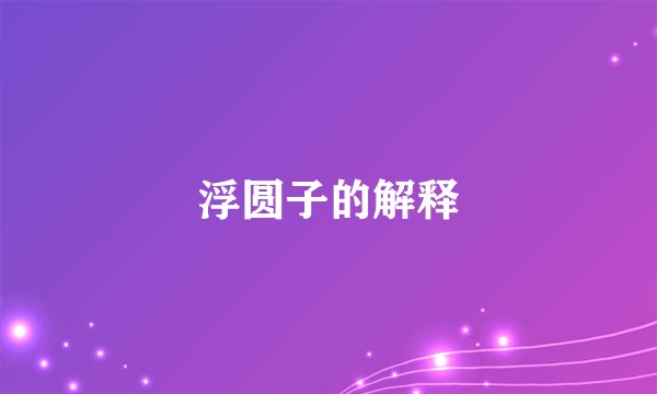 浮圆子的解释