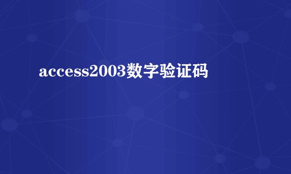 access2003数字验证码