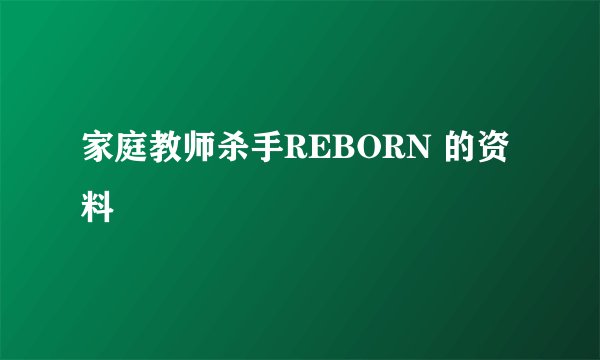 家庭教师杀手REBORN 的资料