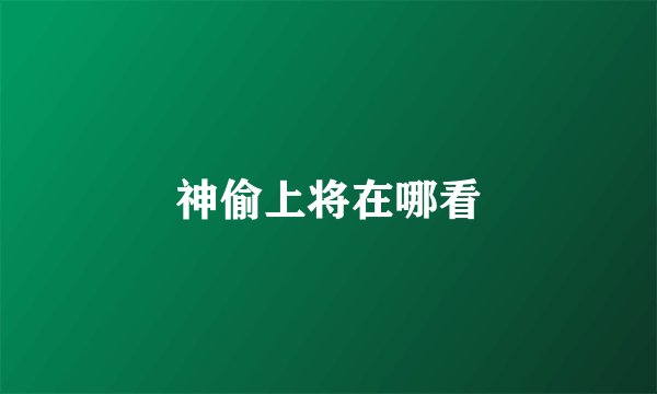 神偷上将在哪看