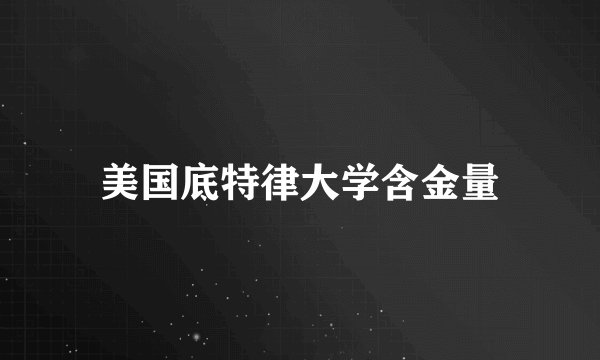 美国底特律大学含金量