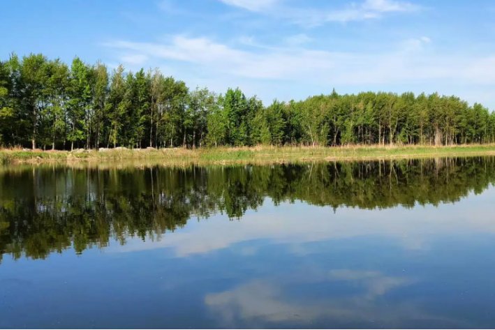 《呼兰河传》好词好句摘抄