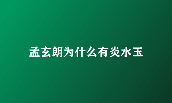 孟玄朗为什么有炎水玉