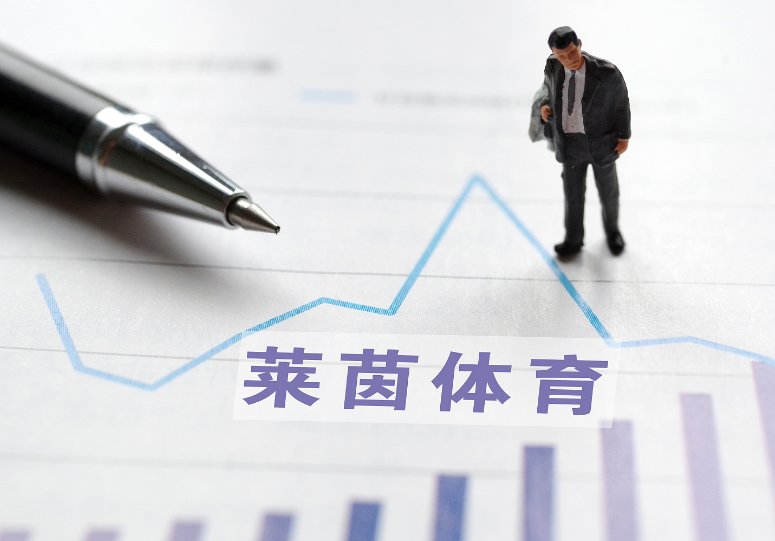 什么是莱茵模式?