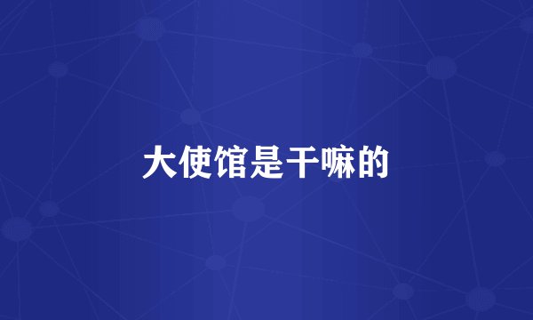 大使馆是干嘛的
