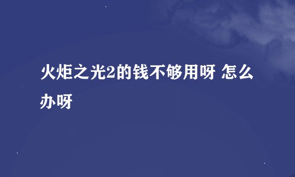 火炬之光2的钱不够用呀 怎么办呀