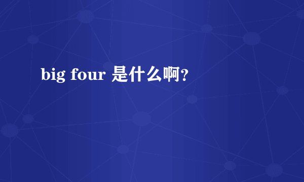 big four 是什么啊？