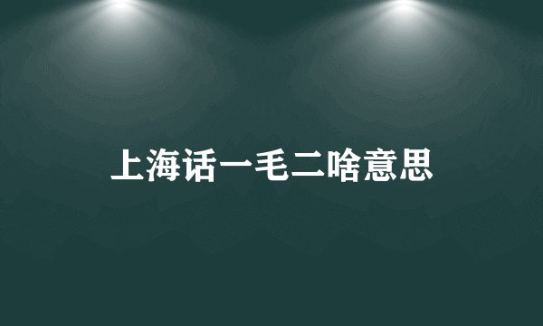 上海话一毛二啥意思