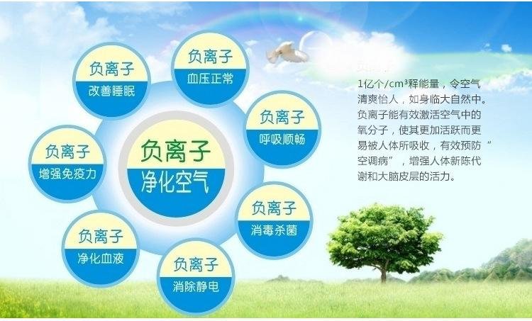 常见的离子有哪些？
