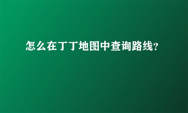 怎么在丁丁地图中查询路线？