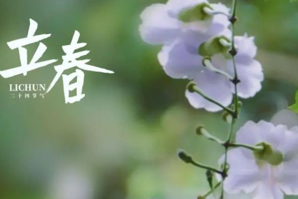 2023年2月4号几点立春