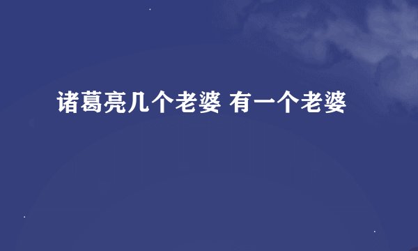 诸葛亮几个老婆 有一个老婆
