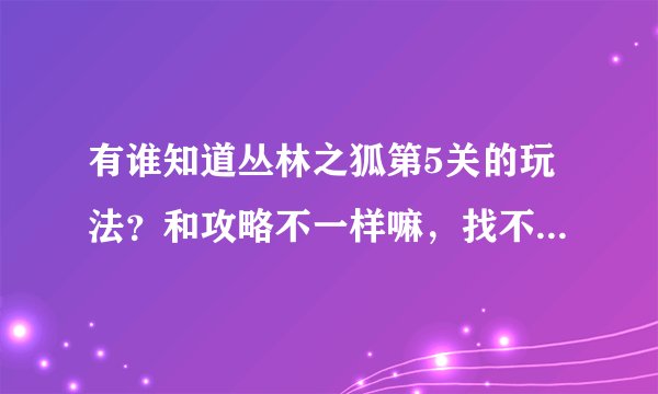 有谁知道丛林之狐第5关的玩法？和攻略不一样嘛，找不到人质的地方。求助！谢谢！