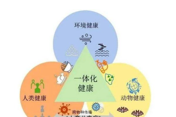 人和畜禽的关系是怎么样的？