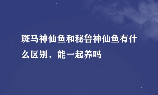 斑马神仙鱼和秘鲁神仙鱼有什么区别，能一起养吗