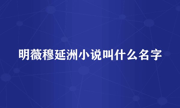 明薇穆延洲小说叫什么名字