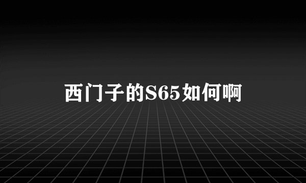 西门子的S65如何啊