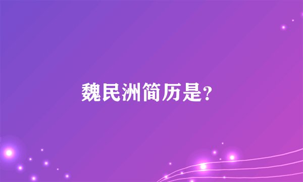 魏民洲简历是？