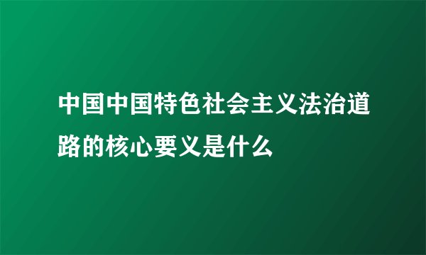 中国中国特色社会主义法治道路的核心要义是什么