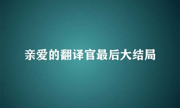 亲爱的翻译官最后大结局