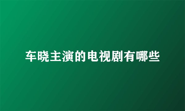 车晓主演的电视剧有哪些
