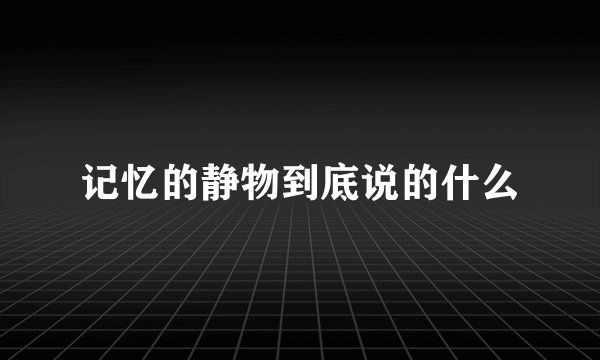 记忆的静物到底说的什么