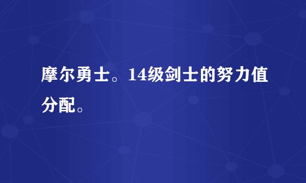 摩尔勇士。14级剑士的努力值分配。