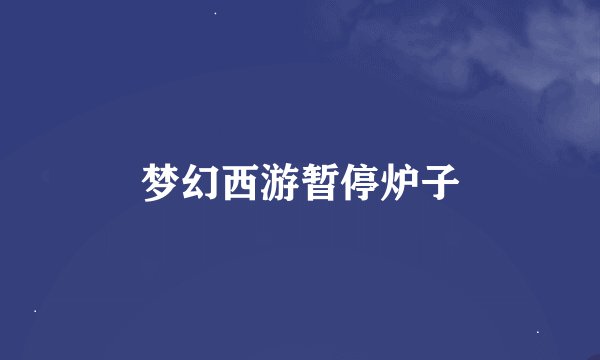 梦幻西游暂停炉子