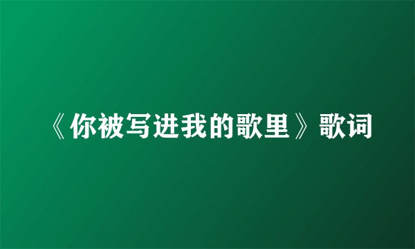 《你被写进我的歌里》歌词