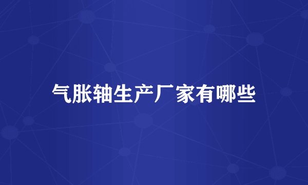 气胀轴生产厂家有哪些