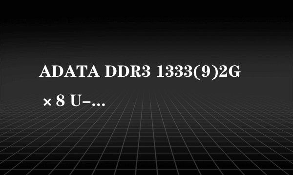 ADATA DDR3 1333(9)2G×8 U-DIMM 10241930表示什么意思？