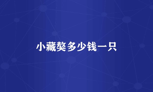 小藏獒多少钱一只