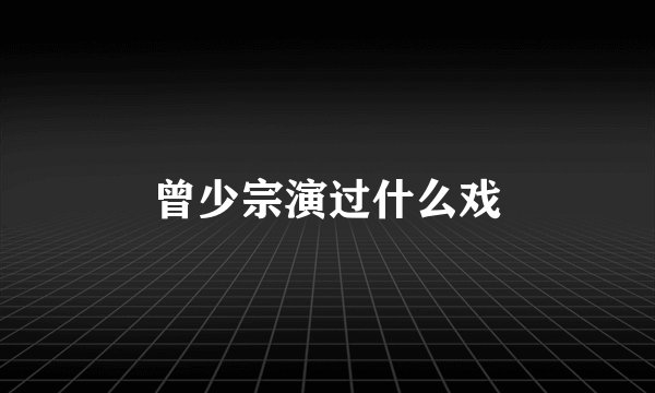 曾少宗演过什么戏