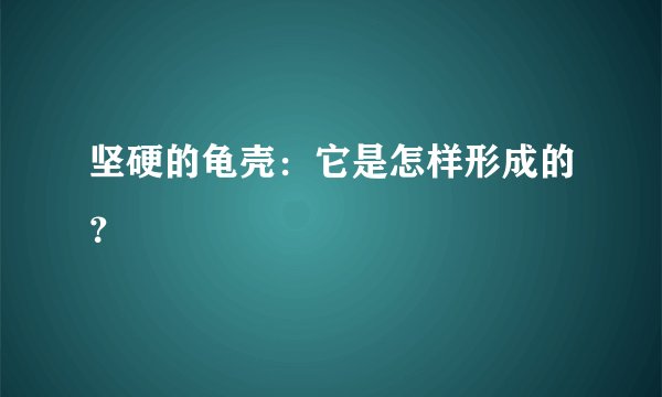 坚硬的龟壳：它是怎样形成的？