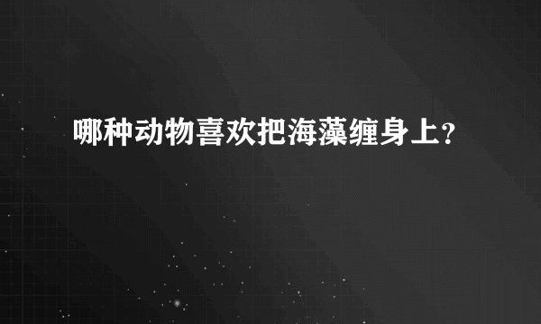 哪种动物喜欢把海藻缠身上？