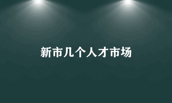 新市几个人才市场