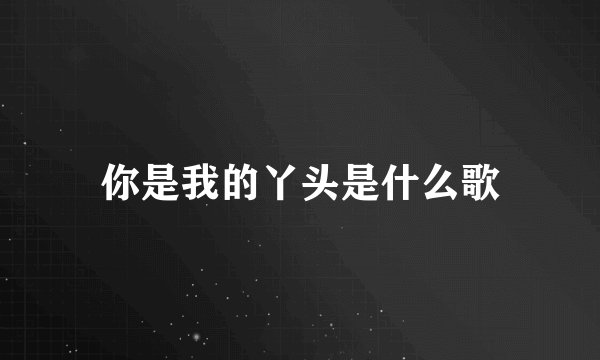 你是我的丫头是什么歌