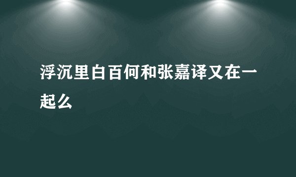 浮沉里白百何和张嘉译又在一起么