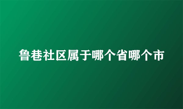 鲁巷社区属于哪个省哪个市